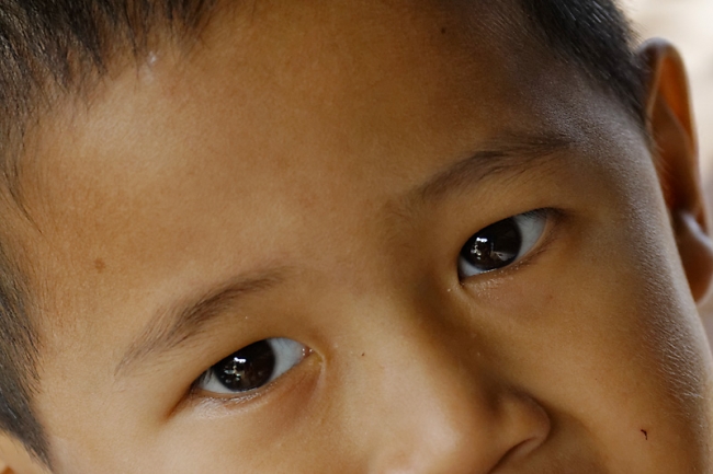 Famille et amis NOV12-041